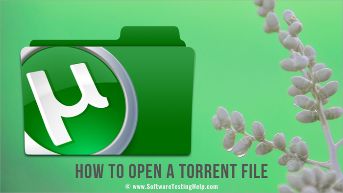 term pro torrent